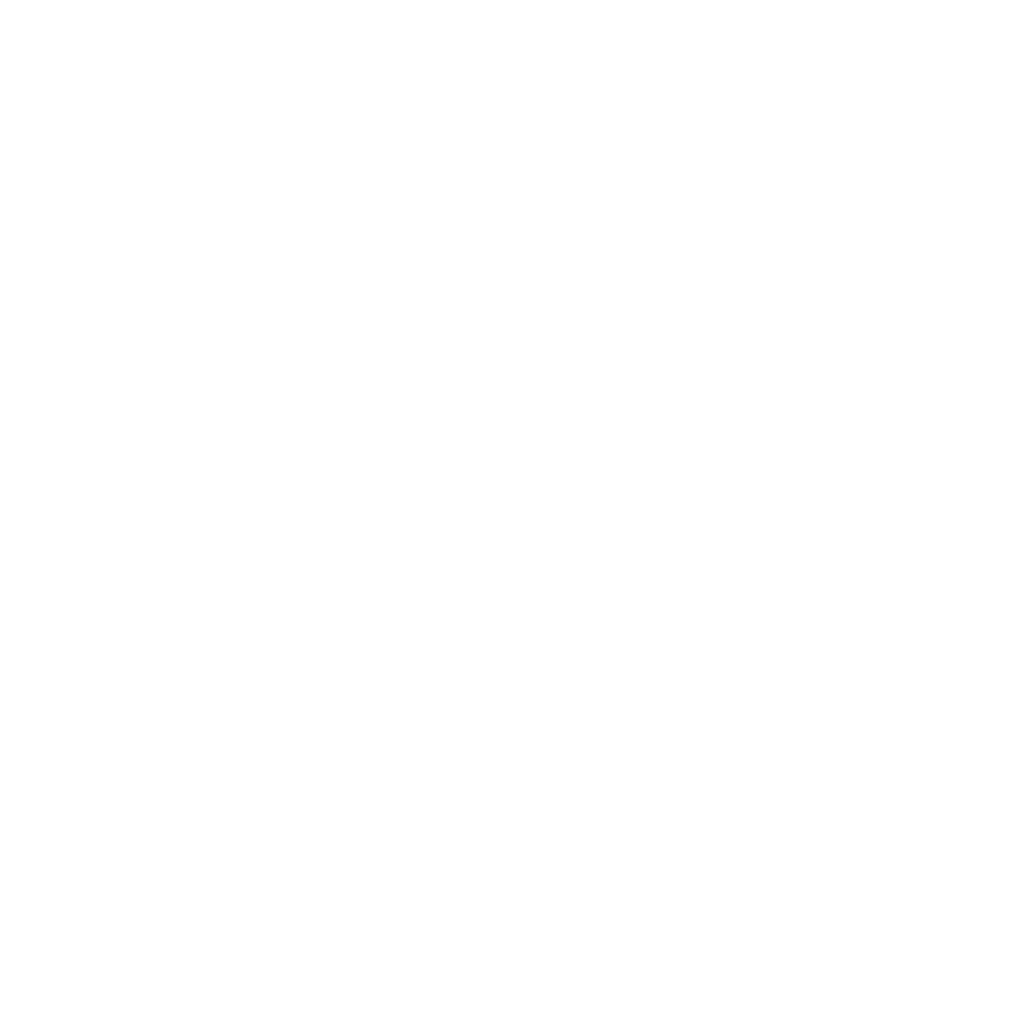 Holzprofi 3 à 10 x Q Holzprofi 8 mm 5480700 Coffret 6 mèches de défonceuse à arrondir HM R 